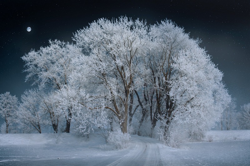 Синоптики рассказали, где в Воронежской области выпало снега больше всего