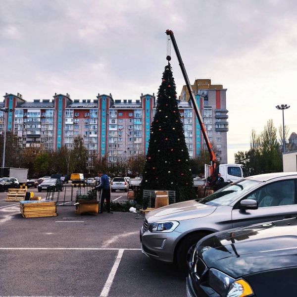 В Воронеже 7 ноября установили первую новогоднюю елку