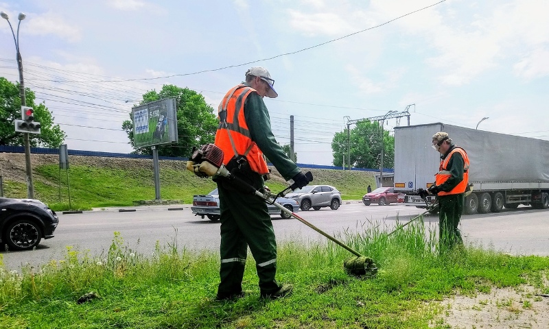 В Центральном районе Воронежа идут активные работы по облагораживанию зеленых зон