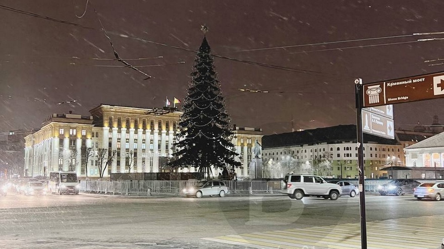 Новогоднюю ёлку собрали на главной площади Воронежа