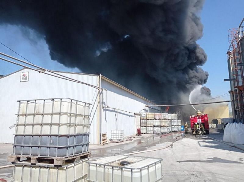 В Воронежской области сняли на видео охваченный пламенем склад лакокрасочного завода