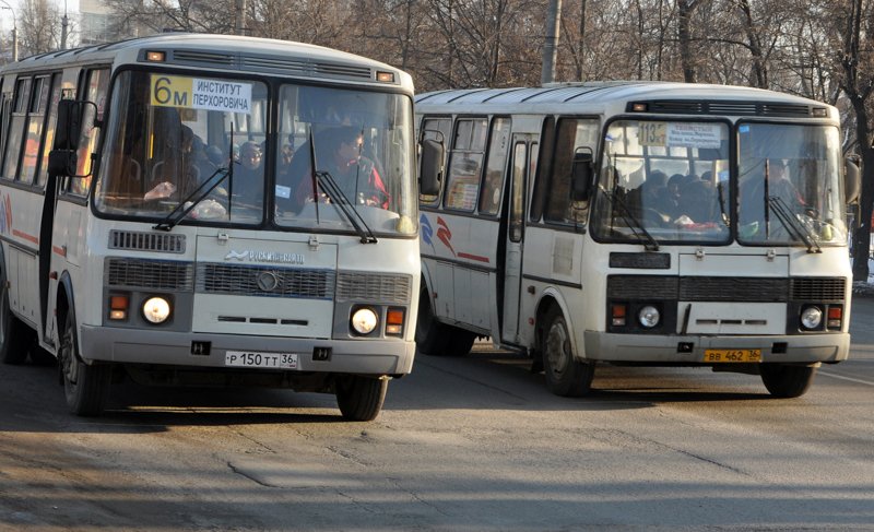 В Воронеже автоинспекция объявила о начале спецоперации «Автобус»