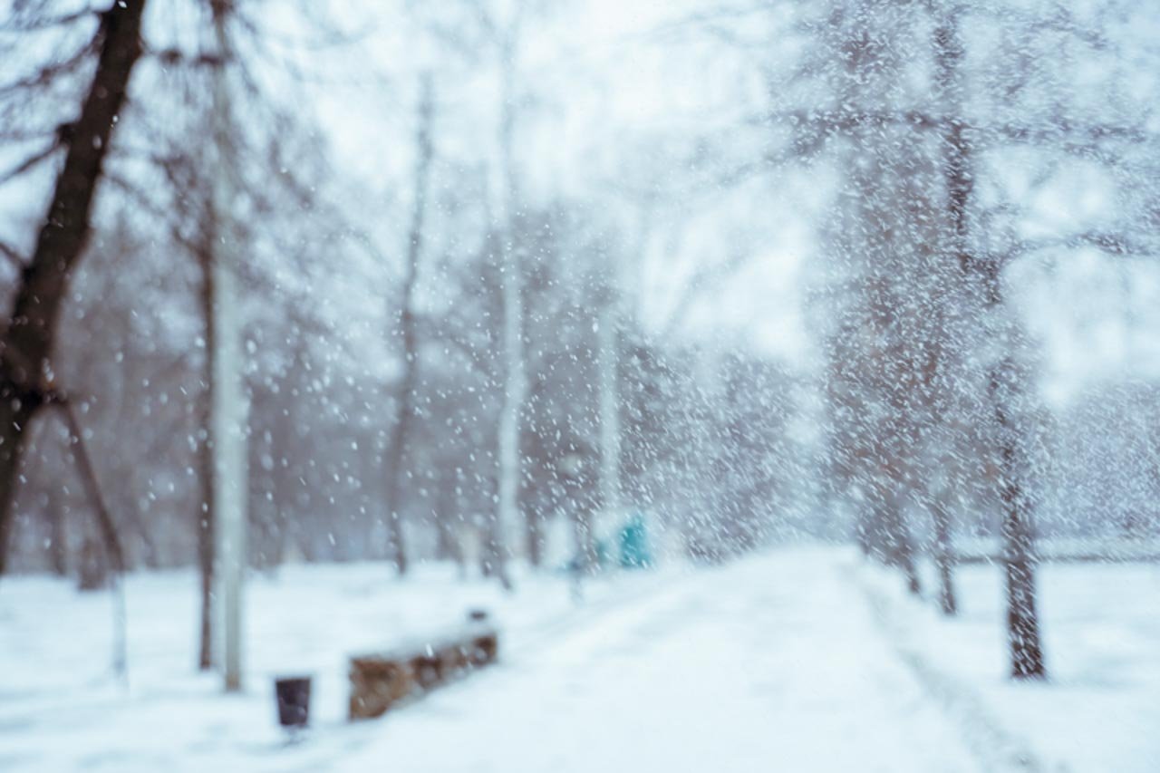 Из-за аномальных морозов в Воронежской области объявлено штормовое предупреждение 