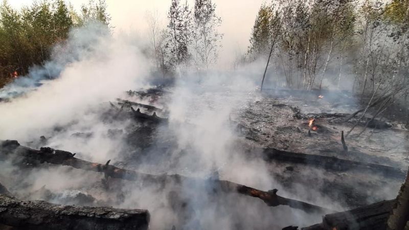 Под Воронежем масштабный ландшафтный пожар подошел к дачным поселкам
