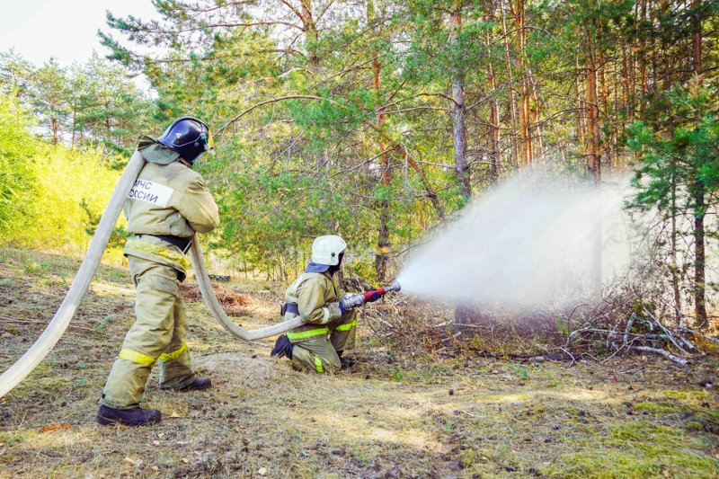 Четвертый класс пожарной опасности объявлен в Воронежской области 