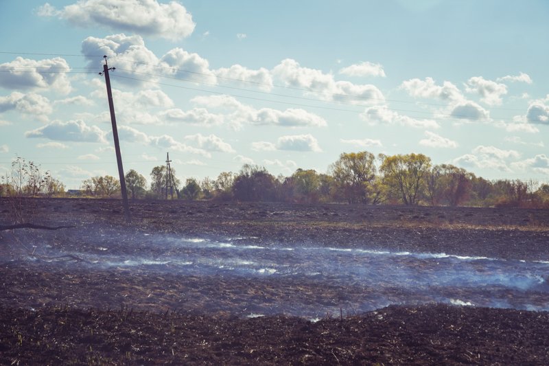На окраине Воронежа загорелась сухая трава
