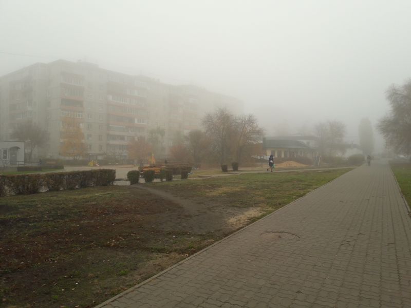 Жёлтый уровень опасности по вине тумана ввели в Воронежской области