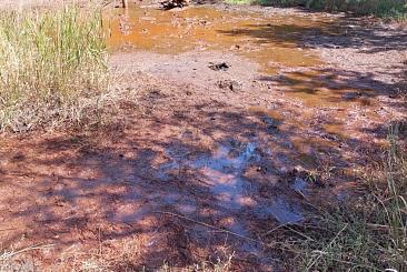 Минеральная вода забила из скважин никелевых месторождений в Воронежской области