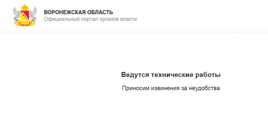 Из-за хакерской атаки вновь рухнул сайт воронежского облправительства