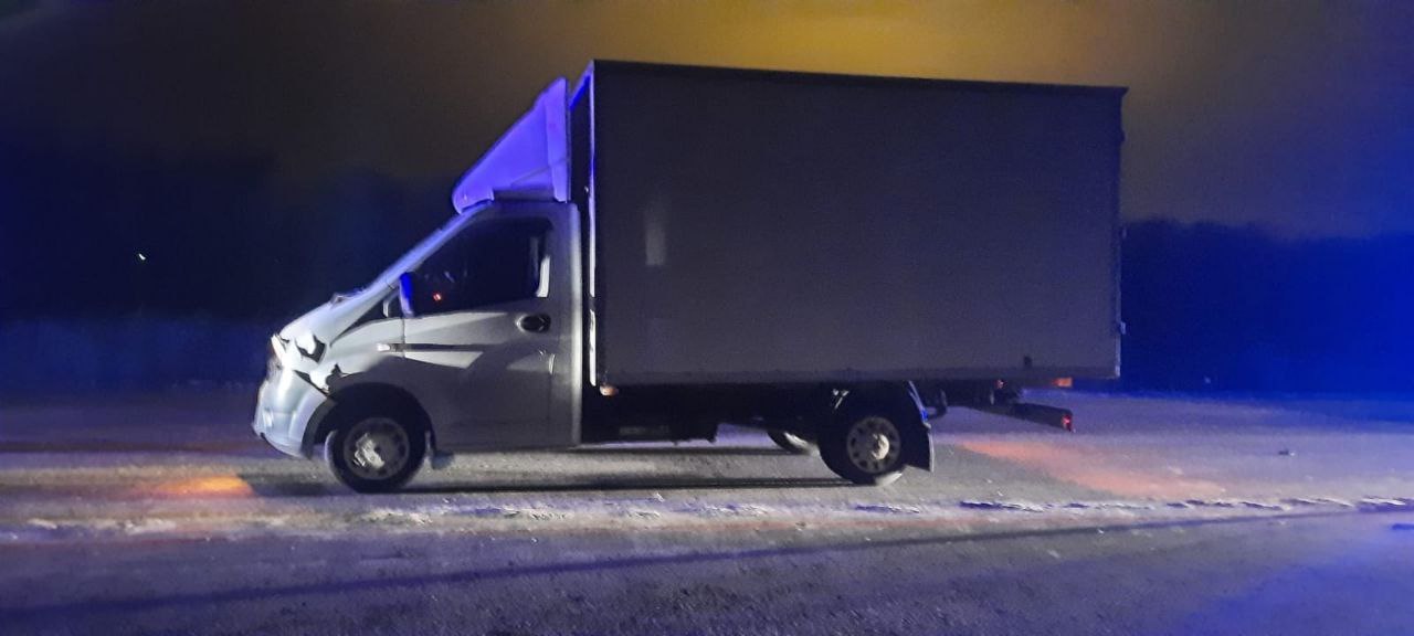 Идущий ночью по трассе мужчина погиб под колесами грузовика под Воронежем