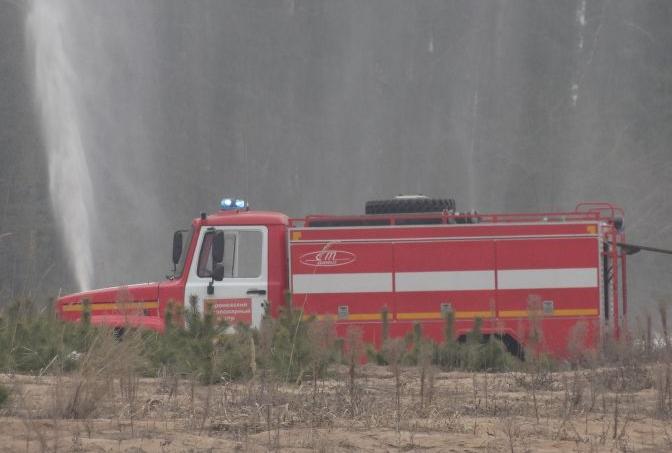 Пожар на 62 га Кожевенного кордона под Воронежем потушили