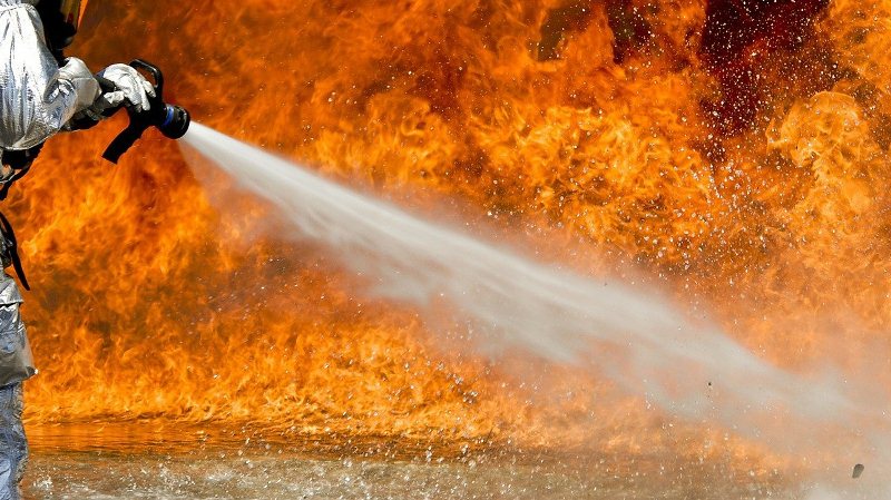 Прокуратура установит причины лесных пожаров в Воронежской области