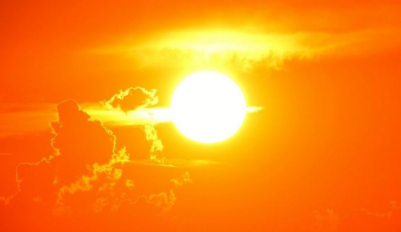 В Воронежской области из-за мощной жары объявлен оранжевый уровень погодной опасности