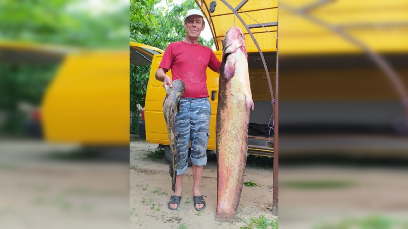 40-килограммового сома поймал на Дону житель Воронежской области