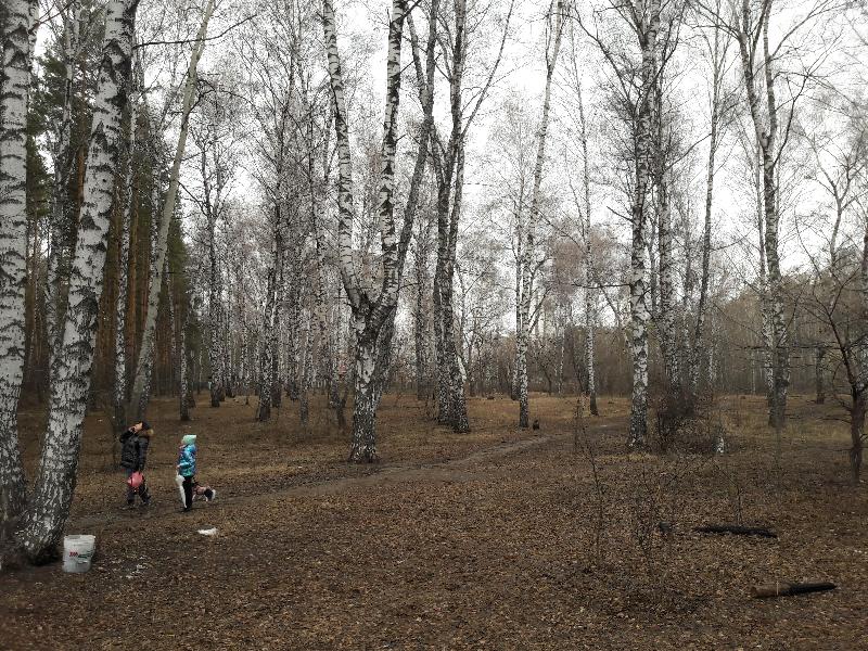Небольшое потепление заглянет в Воронежскую область на пару дней
