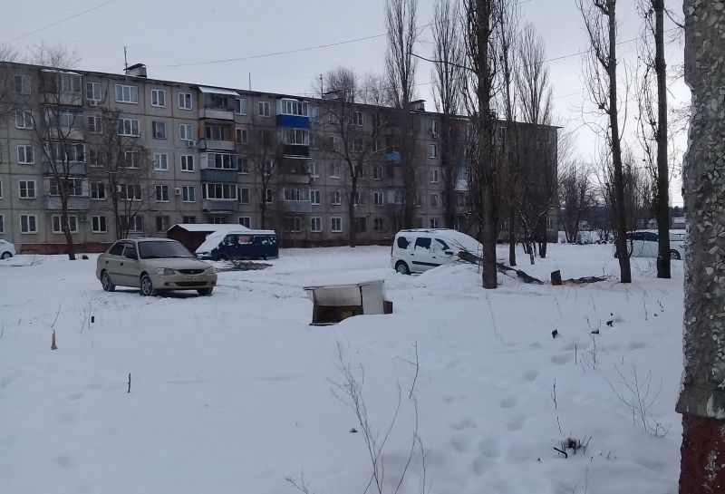 В пригородах Воронежа вырезают «зеленые легкие». В инцидентах разбирается полиция