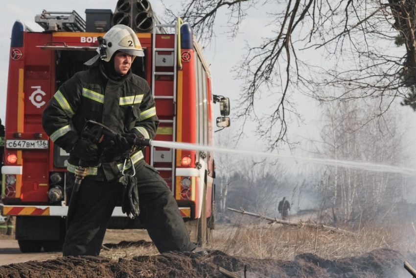 О шести действующих в Воронежской области пожарах сообщило МЧС