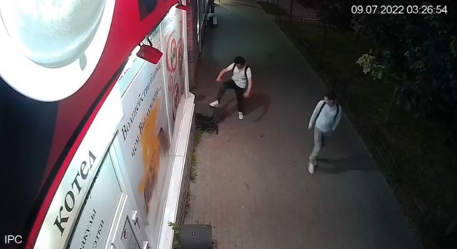 В Воронеже на видео попал молодой человек, сломавший урну
