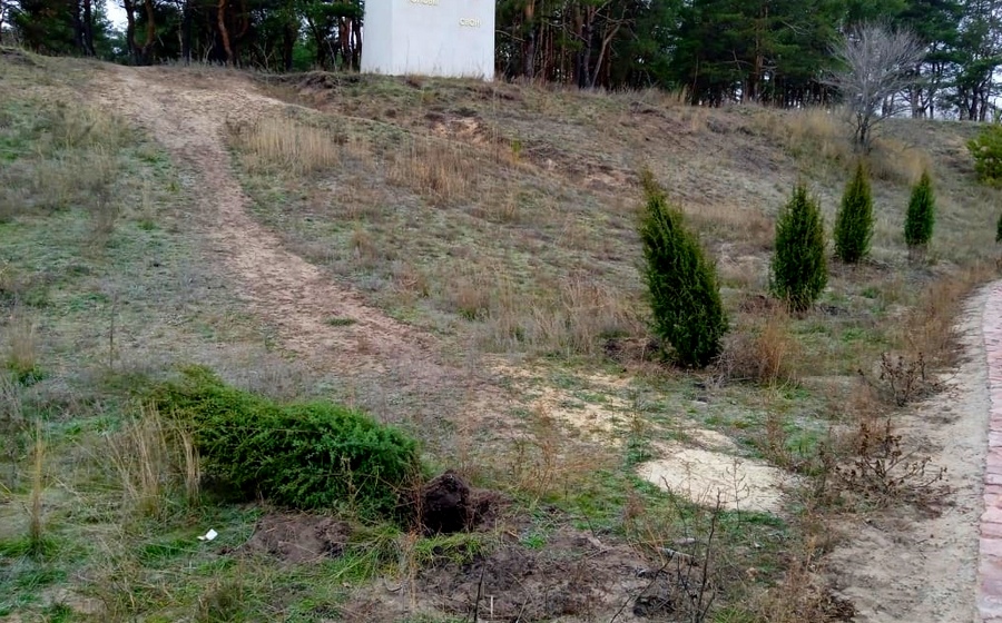 В Воронеже в мемориальном комплексе «Песчаный лог»  неизвестные повредили 6 деревьев