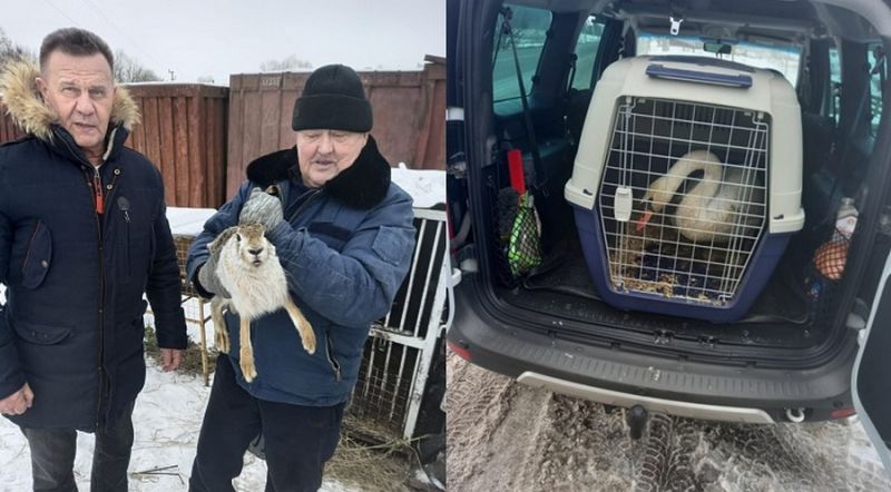 Дикие животные, конфискованные из не прошедшего лицензирование мини-зоопарка, переехали в Воронеж