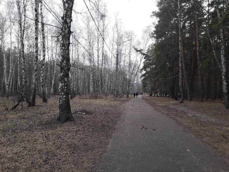 Резкое похолодание и дожди придут в Воронежскую область уже в выходные