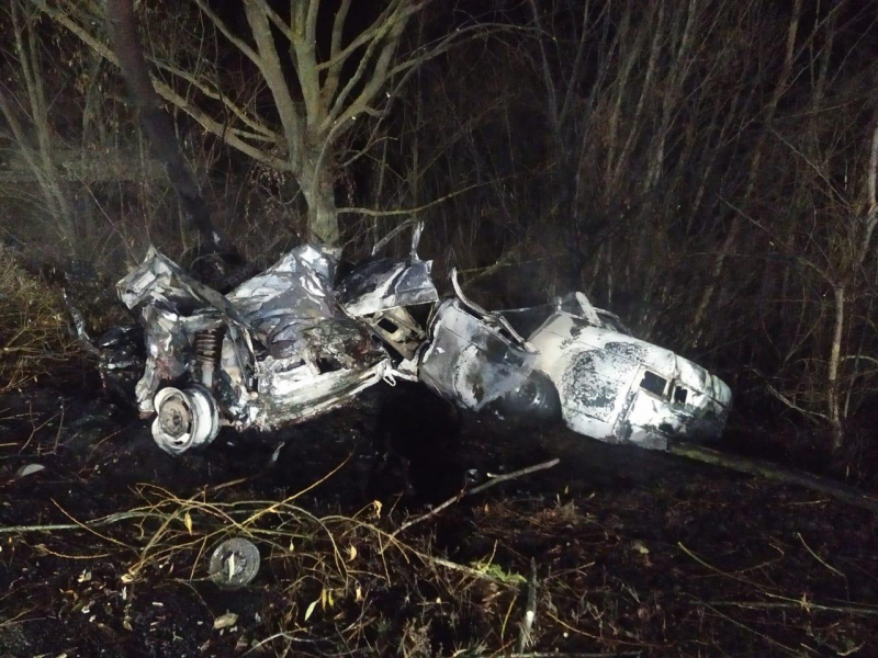 В машине разбились и сгорели два человека в Воронежской области