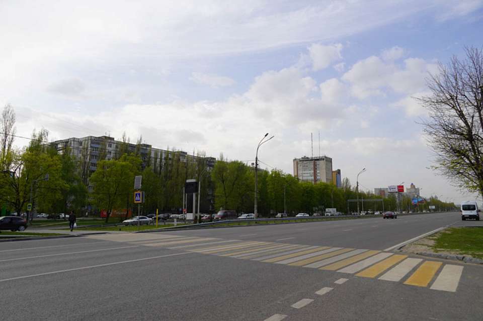 На выставке в Москве представили проект воронежского метробуса