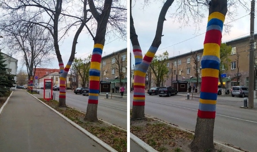 В разноцветные чехлы одели деревья в Воронеже