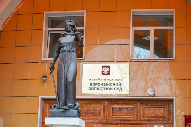 В Воронеже в отставку подала проработавшая всего два года судья областного суда