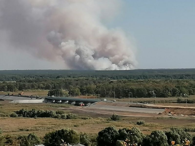 В Воронежской области локализовали крупный лесной пожар на площади 75 га