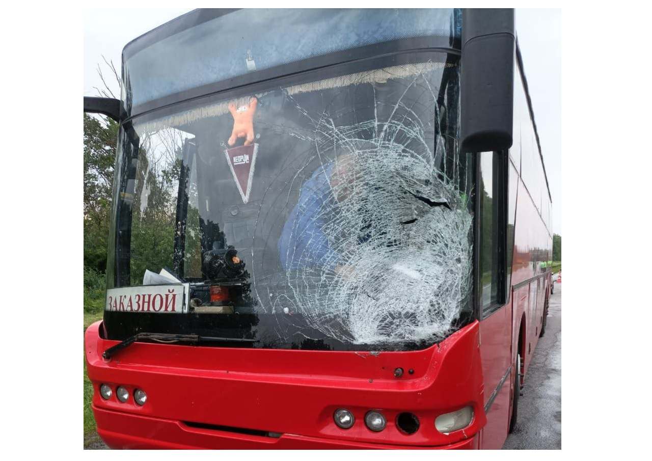 Ночью в Воронежской области белгородец на автобусе насмерть сбил неизвестного пешехода