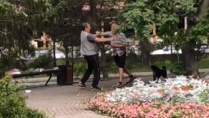 В Воронеже опубликовали видео кулачного боя в Петровском сквере
