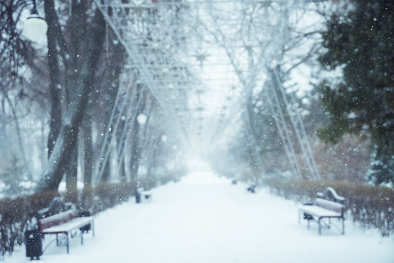 В Воронеже выпала почти 10-дневная норма снега 