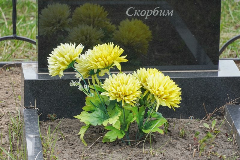 Мэр Воронежа отказался от идеи строительства нового кладбища в Семилукских выселках
