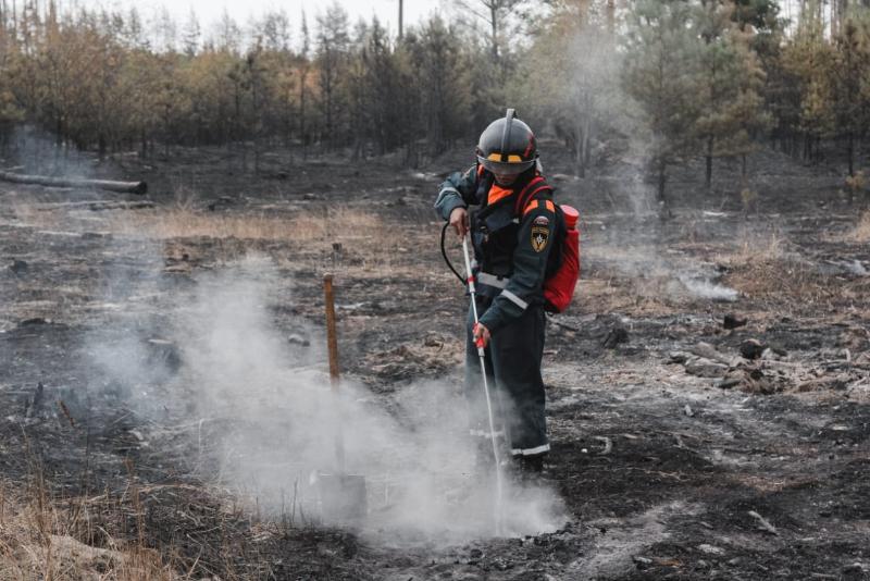 В Воронежской области зарегистрировали уже шесть ландшафтных пожаров