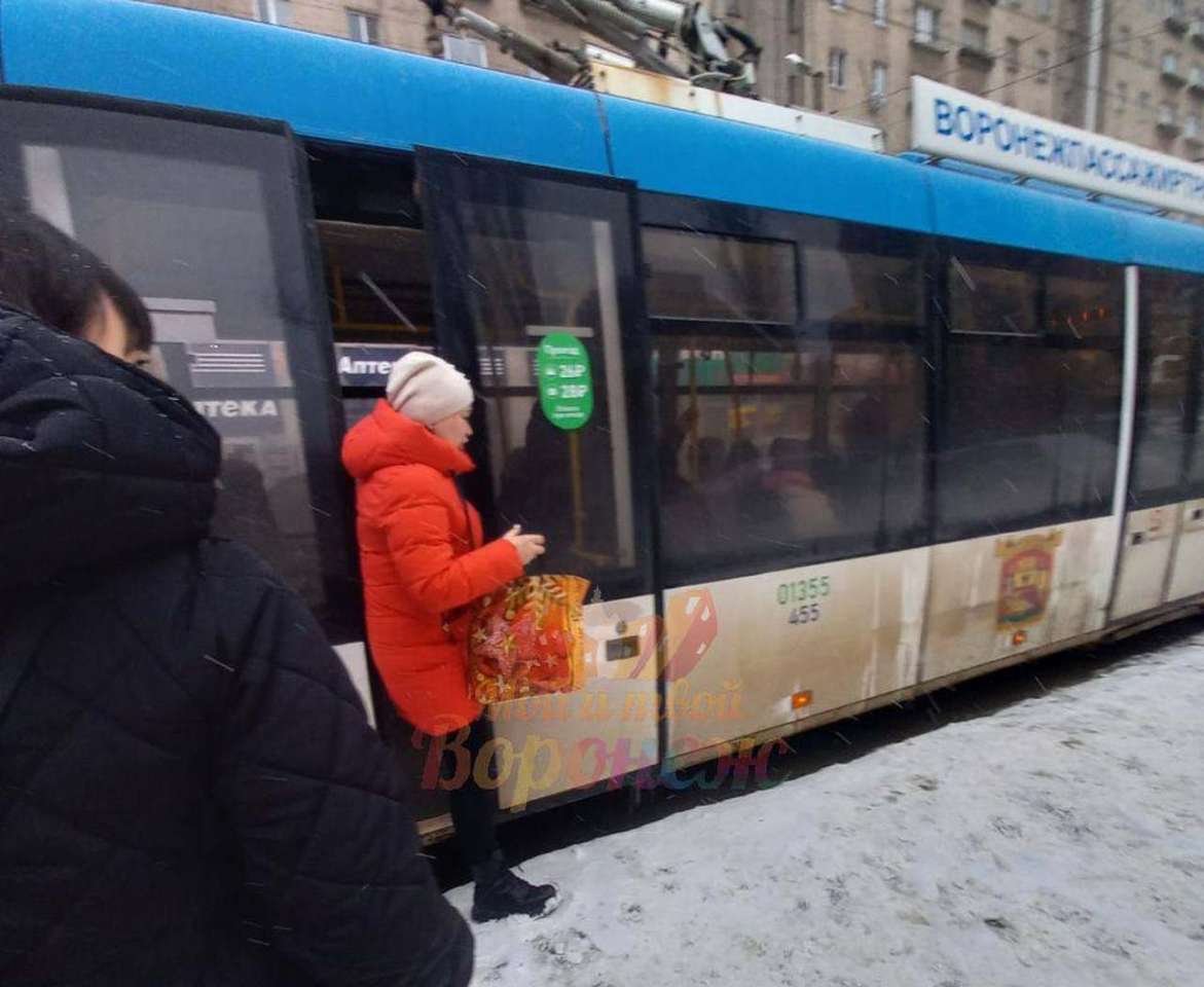 Дверями зажало в троллейбусе жительницу Воронежа и её пожилую маму