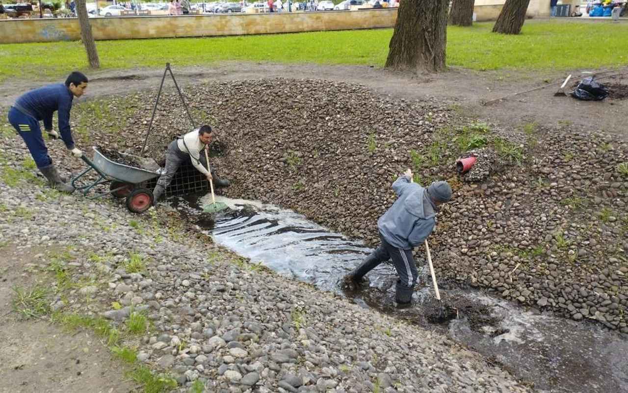 В Центральном парке Воронежа возобновили регулярную ручную чистку пруда