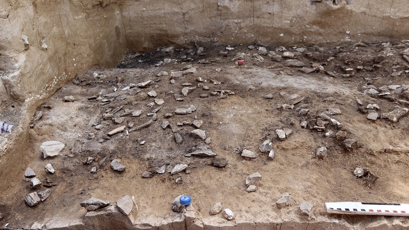 В воронежских Костенках обнаружили древнейшее в Восточной Европе поселение современного человека
