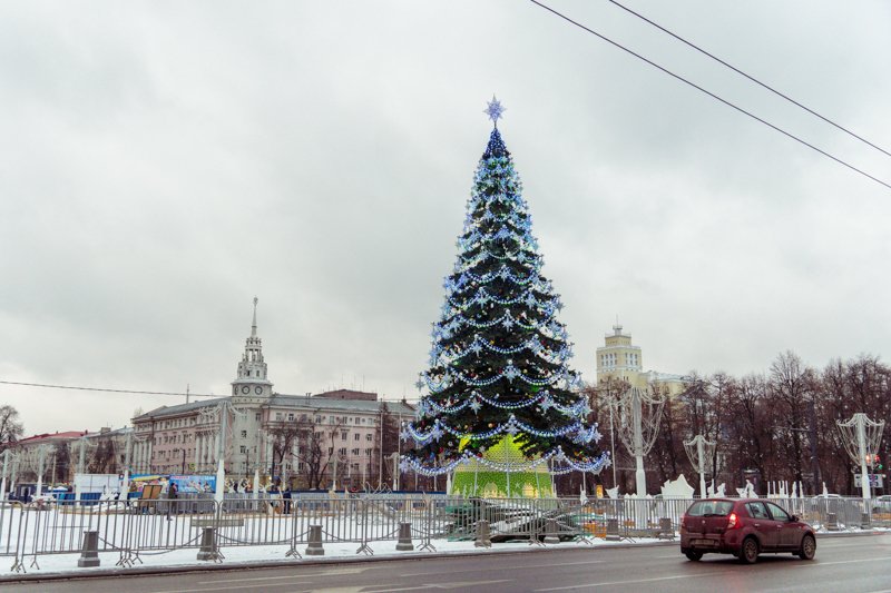 В Воронежской области власти рассказали о смысле новогодней елки в этом году