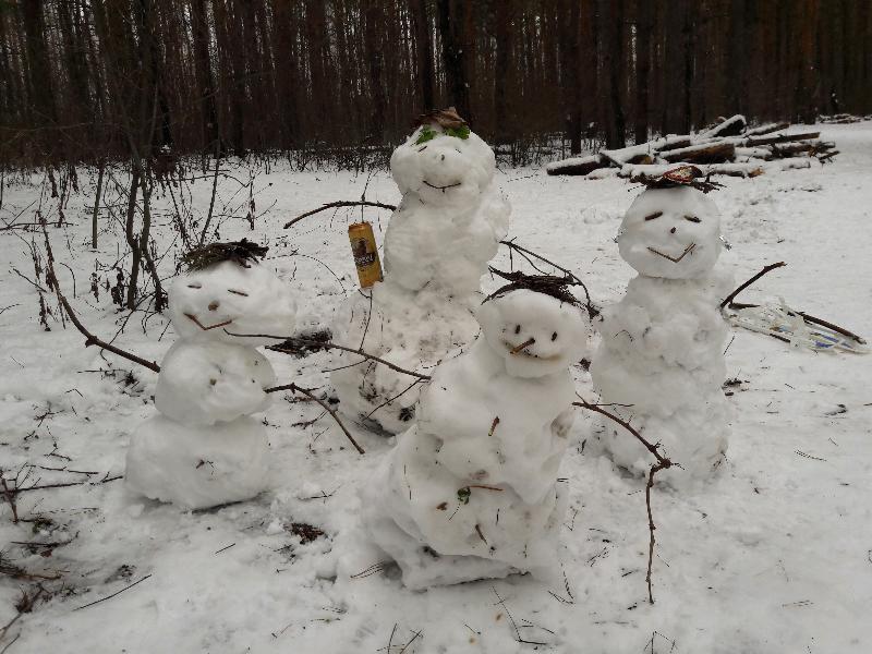 Сильные морозы придут в Воронеж на предстоящей рабочей неделе