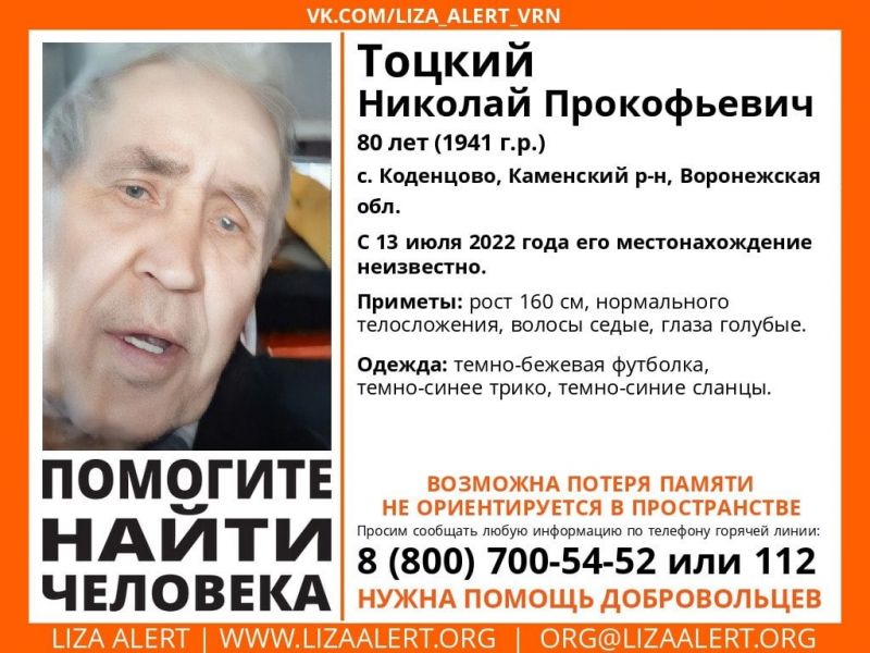 Волонтёры ищут пропавшего 80-летнего жителя Воронежской области