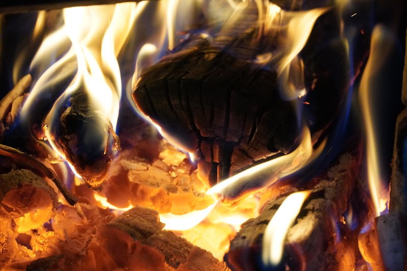 Воронежцев попросили не беспокоиться о дыме из-за сжигания в лесах древесных отходов