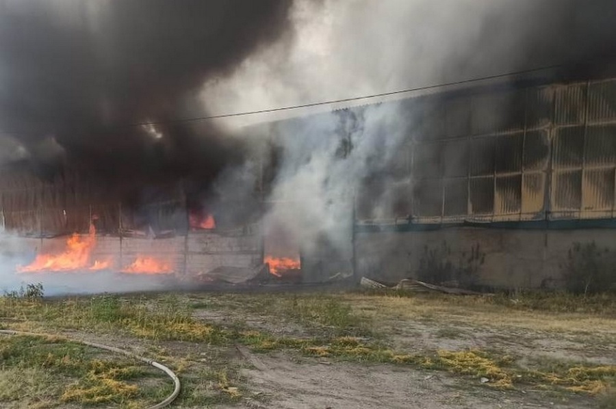Склад завода растительных масел горел в Воронежской области