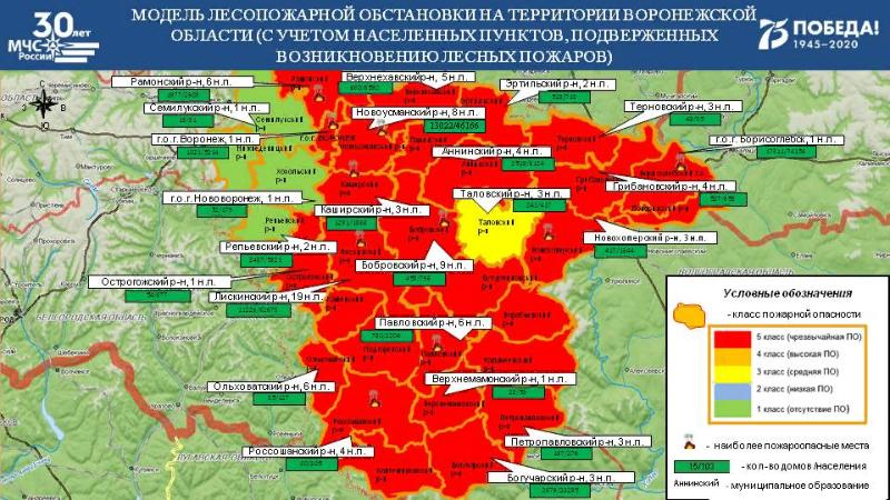 МЧС не исключает повторения лесных пожаров в Воронежской области