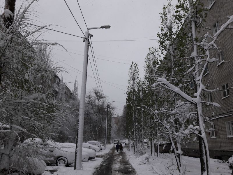Мороз до -11 градусов ожидается в Воронежской области на неделе