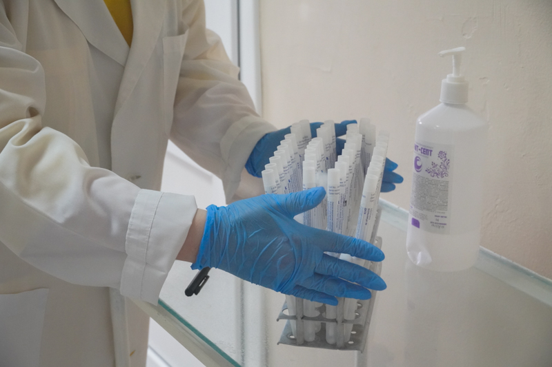 В Воронежском университете займутся разработкой нового лекарства от коронавируса