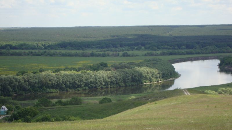 Здоровье реки Дон в Воронежской и Липецкой областях проверят санврачи