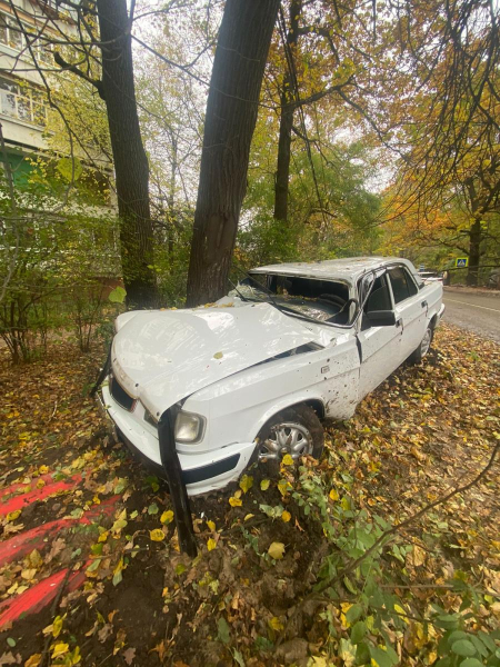 В Воронеже водитель врезавшейся в дерево «Волги» попал в больницу 