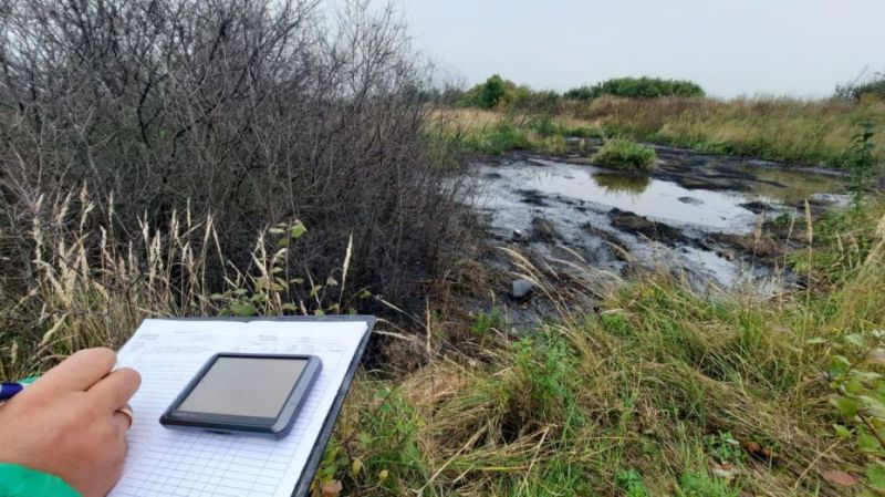 В Воронежской области экологи проверили три несанкционированные свалки