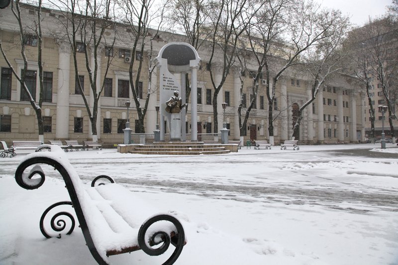 Мокрый снег и гололедица ожидаются в Воронежской области на рабочей неделе